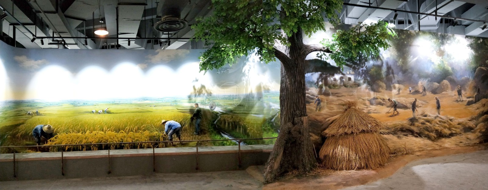 1652934696584323.jpg 1.jpg